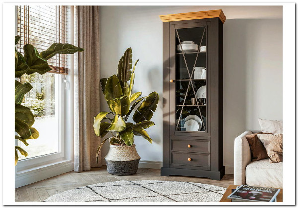 Шкаф для посуды Форест Графит узкий 1 дверь 2 ящика} заказать в Курске по цене 39 281 руб. с доставкой в Курск