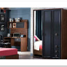 Купить Шкаф трехдверный Алегро Турция с доставкой по России по цене производителя можно в магазине Другая Мебель в Курске